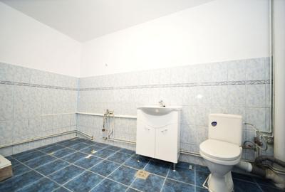 Aroneanu - Sorogari, proprietate excelent pozitionata, de vanzare - 14