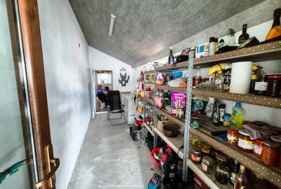 Casa P+M Albota Arges - 17