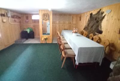 Vila 365 mp si teren aferent 5000 mp Batca Doamnei - 10