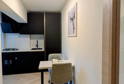 Unirii stradal,bloc monolit,mobilat/utilat,totul nou,ultralux,vedere panoramica - 13