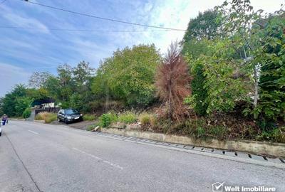 Teren Construcții intravilan de 5800 mp, în Dezmir