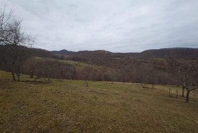 Teren intravilan si extravilan Luncoiu de Jos - 10