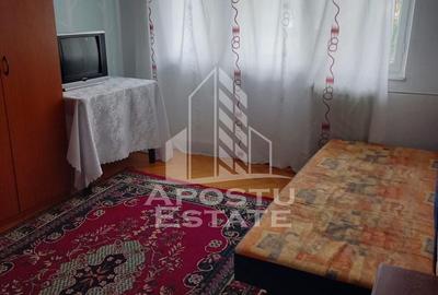 Apartament cu 1 cameră , spațios , Iosefin - 1
