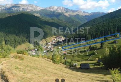 Teren de vânzare – 5877 mp în Moieciu de Sus, zonă montană deosebită - 5