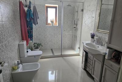Casa individuala, Sfantu Ilie, C-5553 - 9