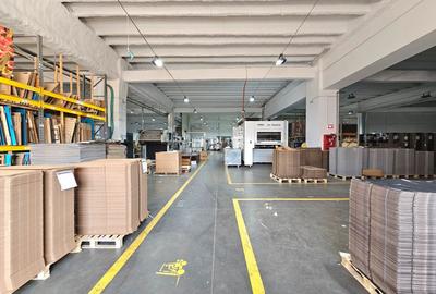 Hale Industriale 5065 mp de vanzare Str. Bradului - Bacau - 5