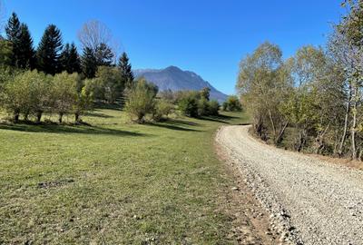 Teren intravilan loturi intre 500 si 1000 m la 5 km de Moieciu - 14
