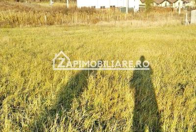Teren 780mp, PUG aprobat, Livezeni,drum asfaltat - 12