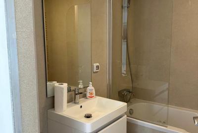 Penthouse 3 camere camere Piata Victoriei - 5