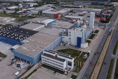 Spații industriale depozitare de inchiriat Calea Buziașului - 4