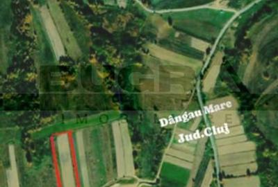 Teren Construcții extravilan de 4265 mp, în Dângău Mare