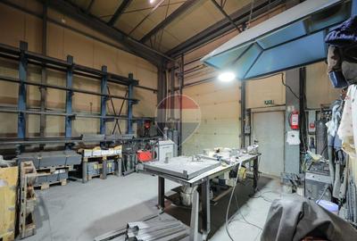 Hală în parc industrial Borș 1, teren 2.903 mp, de vânzare - 43
