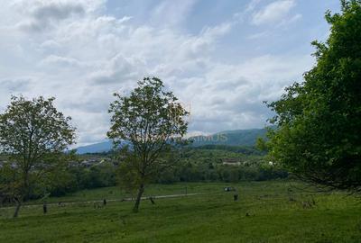 Teren de vânzare în Cisnădioara, aproape de cetate, cu priveliște superbă - 8