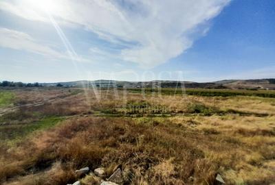 Teren intravilan pentru constructii de vanzare in Sannicoara - 7