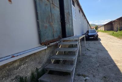 Spatii de  depozitare  de inchiriat  - Cisnadie  strada Uzinei - 6