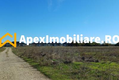 Corbeanca - Tamasi | Teren 1225mp, deschidere 44ml | Utilitati la 50m - 8