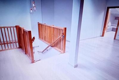 5 min metrou Iancului Casa renovata 2020 D P Pod pe teren 295 mp - 7