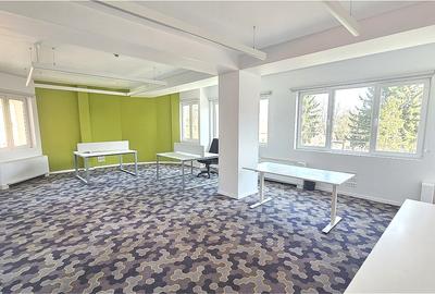 Spatiu de birouri de inchiriat - Str. Emil Racovita, cartier Gruia - 2