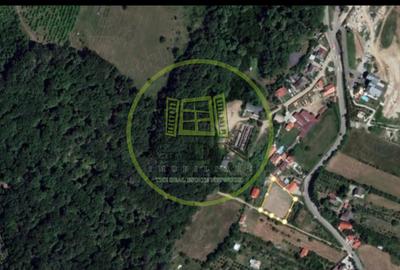 Teren Intravilan 2000 mp spre vanzare in Tocile - 2