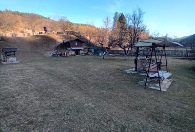 Vila 365 mp si teren aferent 5000 mp Batca Doamnei - 3