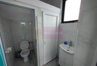 Spațiu Comercial Șoseaua Giurgiului Localitatea 1 Decembrie Ilfov - 21