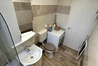 1 Cam-Buziasului-5 Min Spitalul Judetean-Aer conditionat-Mobilat- 35 MP- 60.000 - 6