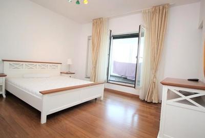Penthouse 5 camere Gradina Icoanei - 8