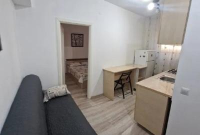 Apartament cu 1 camera - zona Tatarasi - Piata Chirila - Pet Friendly - 6