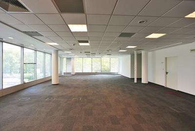 Inchiriere birouri Bucharest Business Park, de la 300 mp, comision 0% - 6