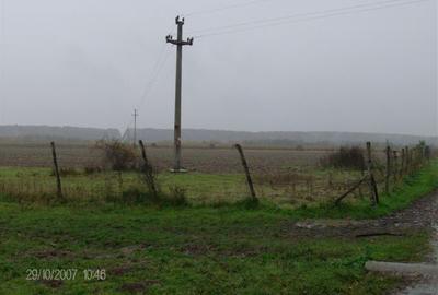 Teren de vanzare agricol si constructie hale cu posibila  legatura la curent - 1