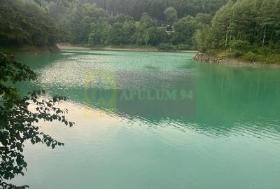 Teren cu deschidere la lac – Valea Doftanei, Prahova - 4