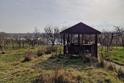 Teren - Roman  -Trifesti - ieșire la lac - livada pe rod - 11