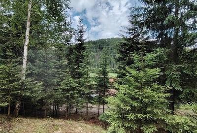 Casa de vacanta nefinalizata (Gheorgheni, zona Magasbukk, km 5) - 19