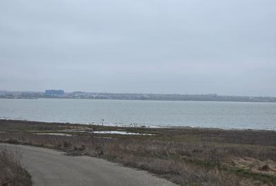 Teren de vanzare in Tuzla zona lac sarat Techirghiol - 9