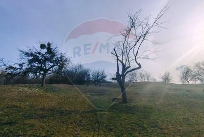 Teren intravilan generos 3.206 mp în Remecioara | Priveliște deosebită - 4