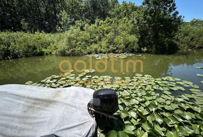 O VILA PERFECTA/IMPECABIL CONSTRUITA/4CAMERE 260MP/TEREN 1000MP/ACCES LAC-PADURE - 57