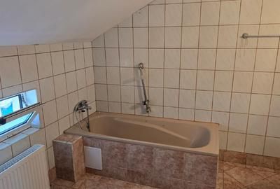 Casă individuală P+E + 2 anexe, teren 3.052 mp – Dârvări, jud. Călărași - 13