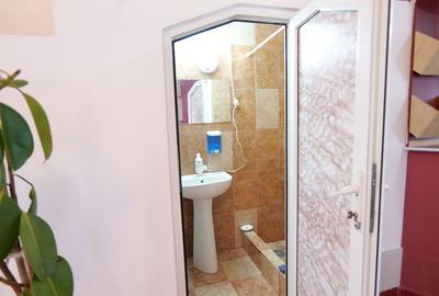 Casă de închiriat zona Mărăști - 4