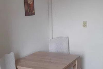 APARTAMENT 2 CAMERE DECOMANDAT, PACURARI, PISICA FRIENDLY - 4