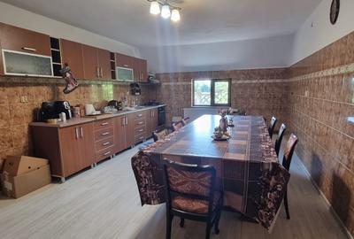 Casă rezidențială cu mansardă și garaj, teren 5000mp, Cateasca, Arges - 5