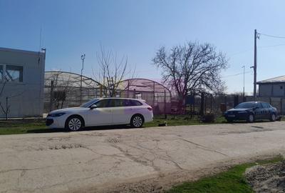 VANZARE TEREN 3100 MP - SAT ROSIORI (IL) - 19