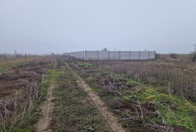 Teren Construcții intravilan de 918 mp, în Șimnicu de Sus