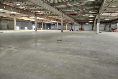 Spatiu Industrial - 7000 mp - Logistica - Productie - Depozitare - Distributie - 20