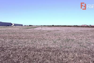 COMISION 0% Teren extravilan 40.000 mp - zona Sanandrei - 3