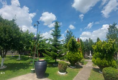 Snagov- Gruiu- Santul Floresti -Proprietate cu stil pentru oameni gospodari! - 40