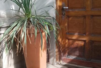VILA DE INCHIRIAT- SPAIUL UNIRII- GRADINA- LOC PARCARE - 12