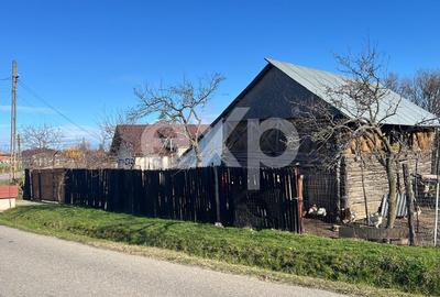 Refugiu la țară: casă cu 2 camere și teren de aproape 4.000 mp, Cocu - 2