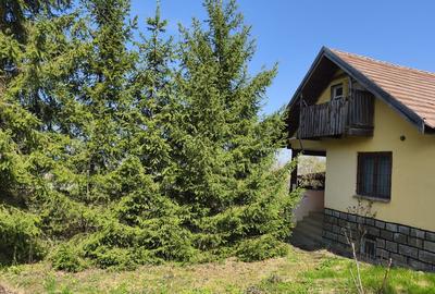 Vand Casa +teren livada 2600m2 - 4
