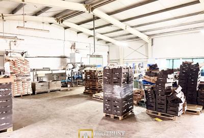 Hala industrială de vanzare Arad 540 mp, depozitare la rece, acces TIR - 6