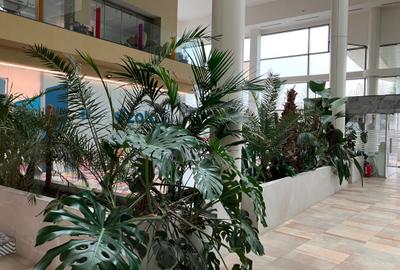 Garsoniera Vitan-RIN GRAND HOTEL,3/13,mobilata NOU,46000€ + 9000€ Rate - 15